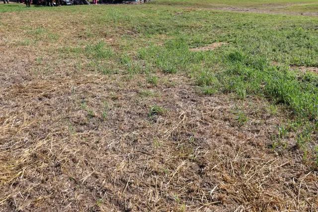 Acampamento Pais e Filhos II