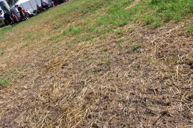 Acampamento Pais e Filhos II
