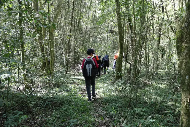 Acampamento Pais e Filhos II